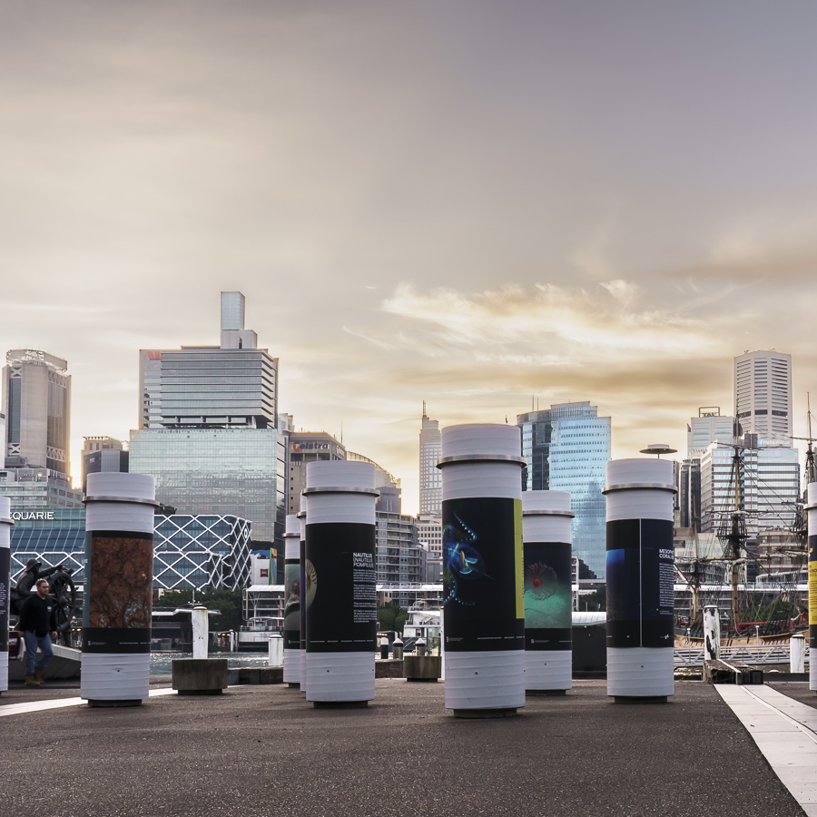 Sydney Skyline Poles